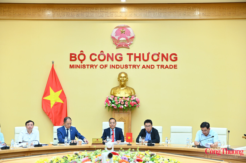 Các đại biểu tại buổi làm trực tuyến.