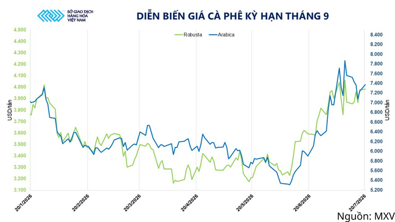 Diễn biến giá cà phê kỳ hạn tháng 9.