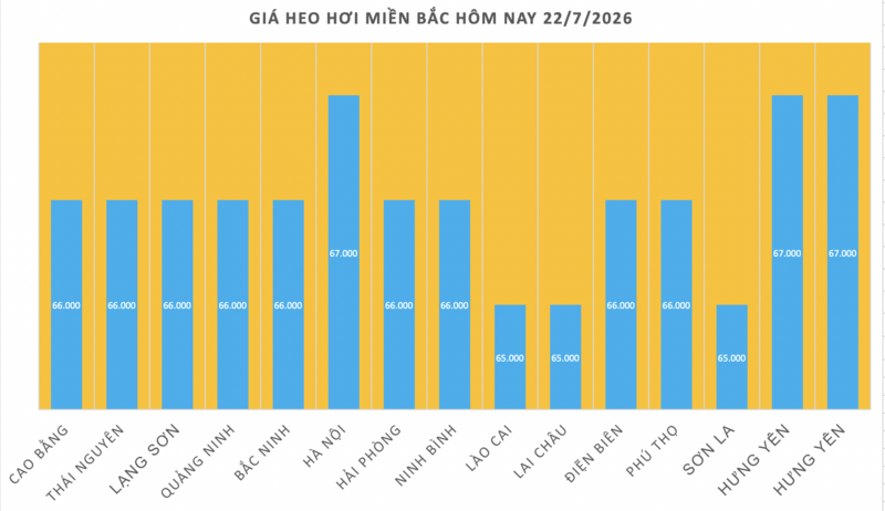 Giá heo hơi hôm nay 22/7/2026: Giảm cục bộ tại miền Bắc - 1