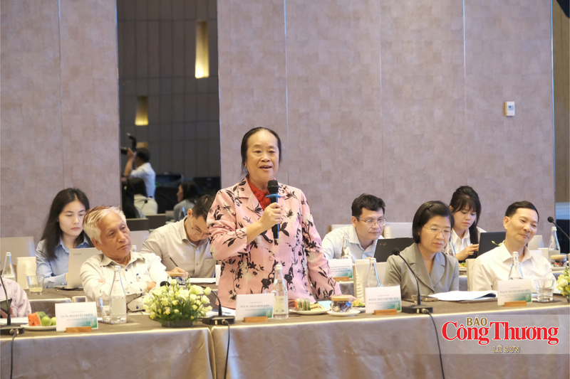 PGS.TS Trần Thị Như Mai, Chủ tịch Hội đồng Phòng thí nghiệm trọng điểm công nghệ lọc, hoá dầu.