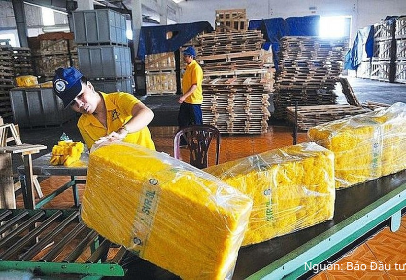 Giá bình quân cao su xuất khẩu của Việt Nam trong 6 tháng đầu năm 2026 đạt 1.924 USD/tấn, tăng 3,7% so với cùng kỳ năm ngoái.