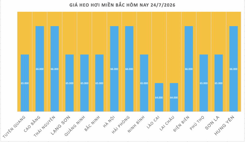 Giá heo hơi hôm nay 24/7/2026: Giảm đồng loạt nhiều nơi - 1