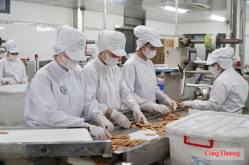 Hoạt động sản xuất xuất khẩu bánh dừa nướng sang thị trường Halal tại Công ty TNHH Mỹ Phương Food (phường Hòa Khánh, thành phố Đà Nẵng). Ảnh: Vũ Lê