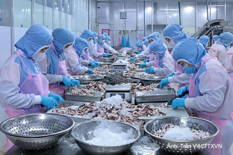Hiệp định RCEP mở rộng cơ hội tiếp cận thị trường tiềm năng đối với doanh nghiệp Việt Nam.