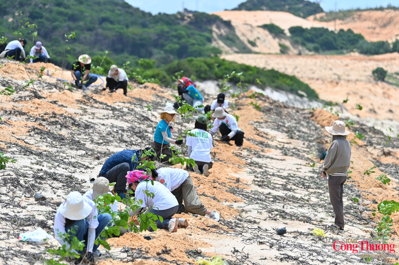 833 cây giáng hương được trồng mới tại Khu Bảo tồn thiên nhiên Tà Kóu.