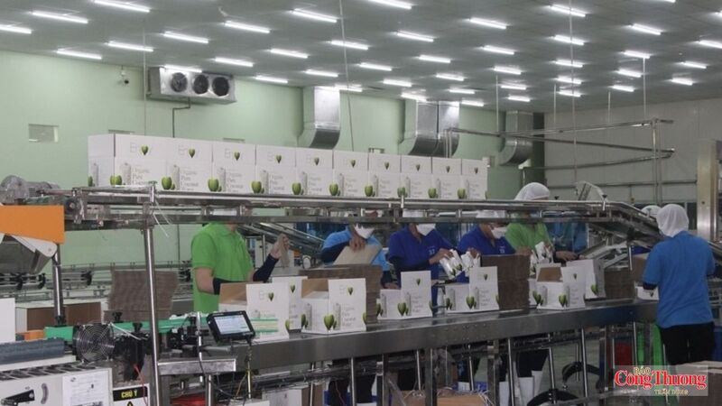 Đầu tư phát triển công nghiệp nông thôn theo hướng hiện đại là giải pháp để Vĩnh Long nâng cao giá trị và sức cạnh tranh của sản phẩm.