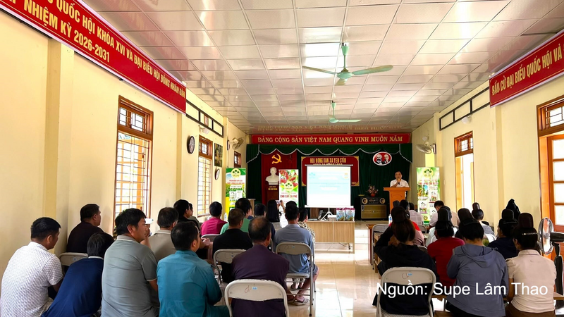 Supe Lâm Thao tổ chức hội nghị tập huấn kỹ thuật tại các xã Yên Châu, Chiềng Hặc, Yên Sơn và Lóng Phiêng - tỉnh Sơn La.