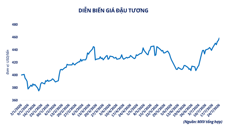 Dự báo sản lượng đậu tương tại các nước sản xuất chính