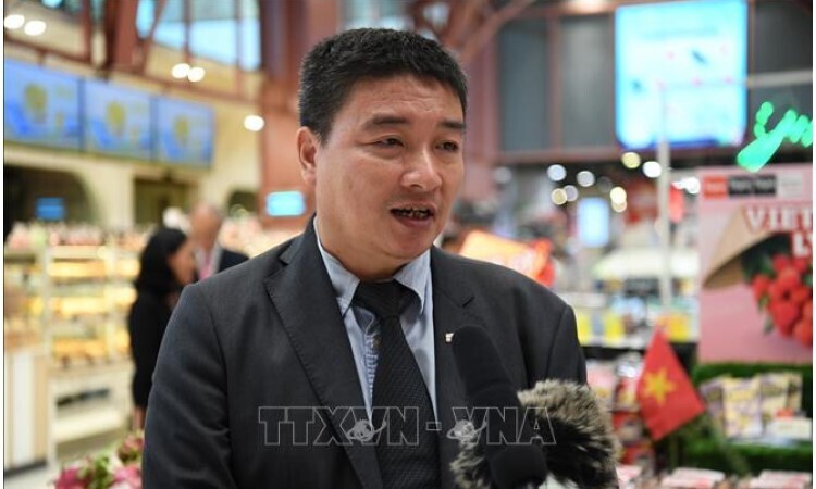 Ông Lê Hữu Phúc, Tham tán thương mại, Thương vụ Việt Nam tại Thái Lan. Ảnh: TTXVN