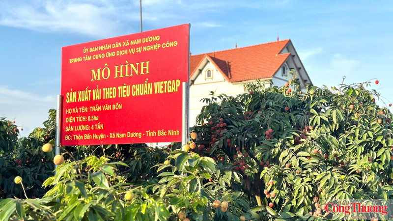 Tỉnh khuyến khích bà con địa phương phát triển vùng trồng theo tiêu chuẩn VietGAP và GlobalG.A.P.