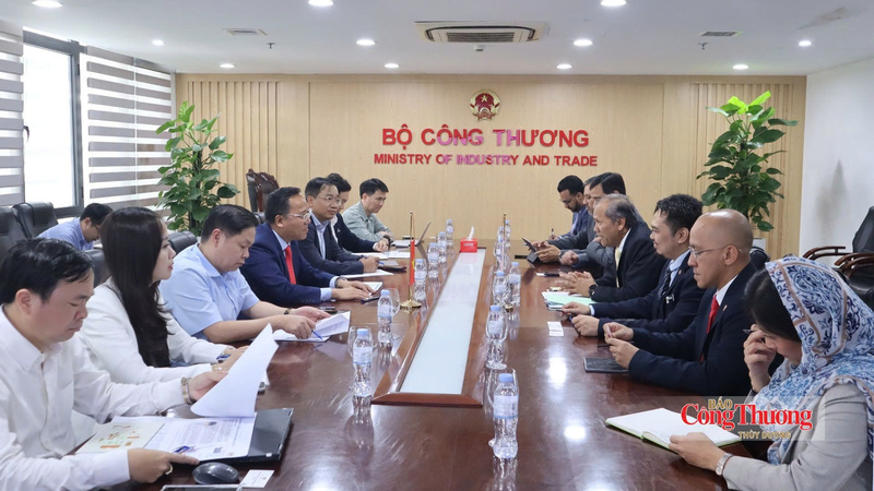 Toàn cảnh buổi làm việc.