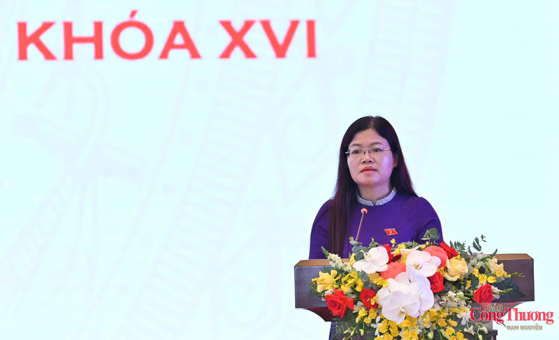 Phó Trưởng Đoàn Đại biểu Quốc hội tỉnh Thanh Hóa Lương Thị Hoa phát biểu.