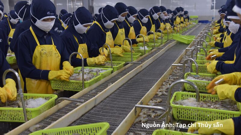 7 tháng đầu năm 2026, kim ngạch xuất khẩu thủy sản đạt khoảng 6,7 tỷ USD, tăng 10,5% so với cùng kỳ năm trước.