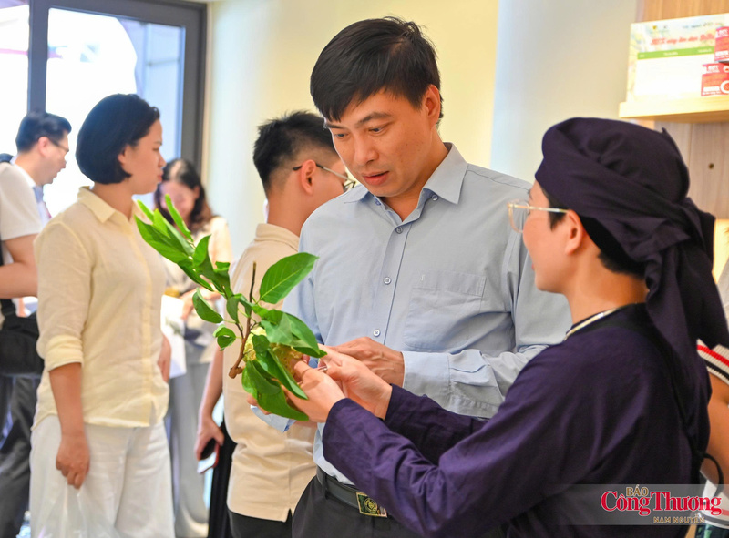 "Sức sống hàng Việt" hỗ trợ doanh nghiệp, hợp tác xã và người dân đưa nông sản đến gần hơn với thị trường. Ảnh: Nam Nguyễn