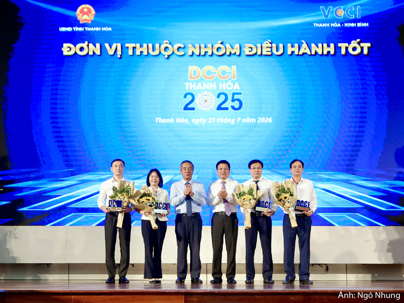 Đại diện các sở, ban, ngành lên nhận biểu trưng DCCI nhóm dẫn đầu bảng xếp hạng.
