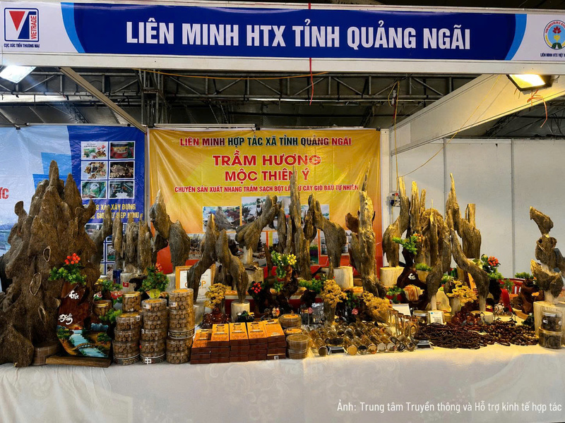 Hội chợ xúc tiến thương mại Hợp tác xã khu vực miền Bắc năm 2026: Cơ hội kết nối giao thương và phát triển sản xuất kinh doanh - 3