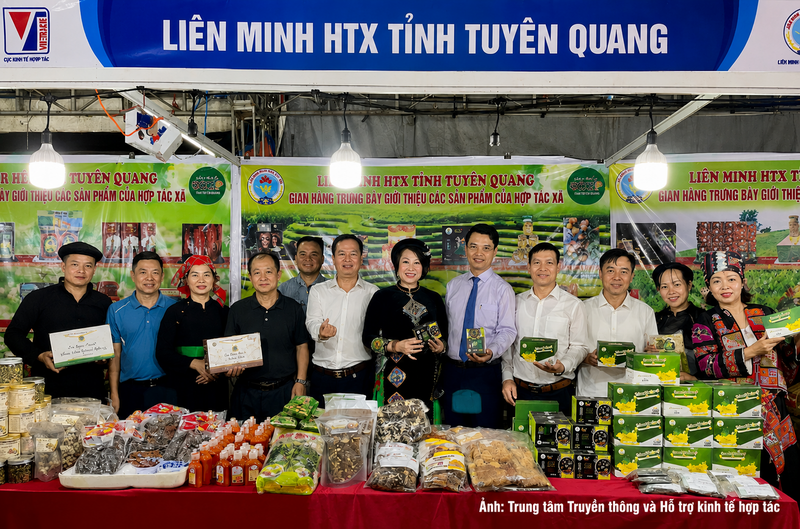 Hội chợ xúc tiến thương mại Hợp tác xã khu vực miền Bắc năm 2026 là cơ hội kết nối giao thương và phát triển sản xuất kinh doanh. (Trong ảnh: Liên minh hợp tác xã tỉnh Tuyên Quang giới thiệu sản phẩm, hàng hóa).