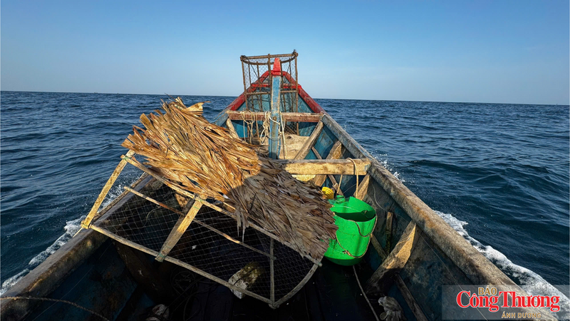 Nơi thả bẫy thường là khu vực có gò cát, rạn san hô ở độ sâu khoảng 5-7m, nơi mực lá thường tập trung.