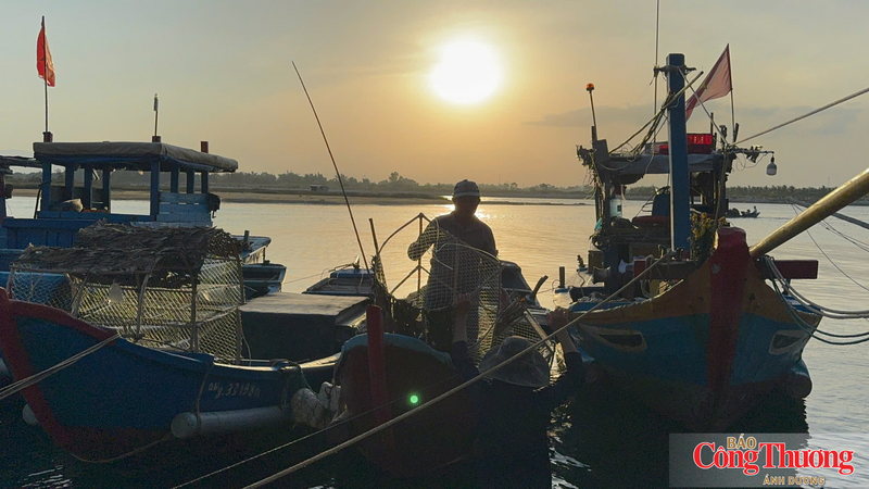 Từ khoảng 4-5 giờ sáng, ngư dân bắt đầu ra biển để đặt bẫy.