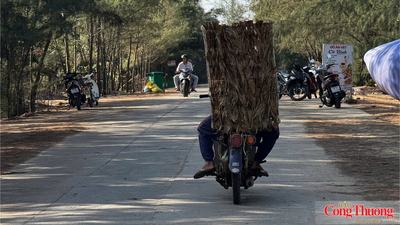 Ngư dân đem bẫy ra bãi biển.