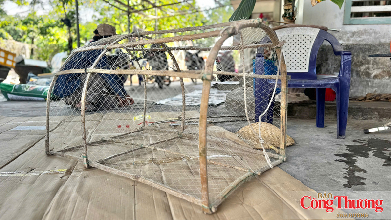 Chiếc bẫy đơn giản được làm từ khung tre.
