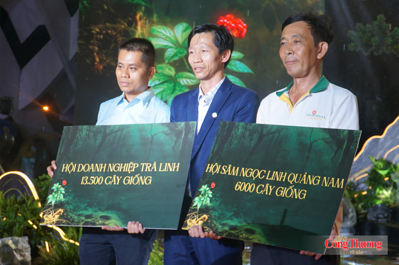 Tại lễ khai mạc, các đơn vị, doanh nghiệp đã trao tặng gần 20.000 cây sâm Ngọc Linh giống cho bà con vùng trồng sâm Ngọc Linh (TP. Đà Nẵng).