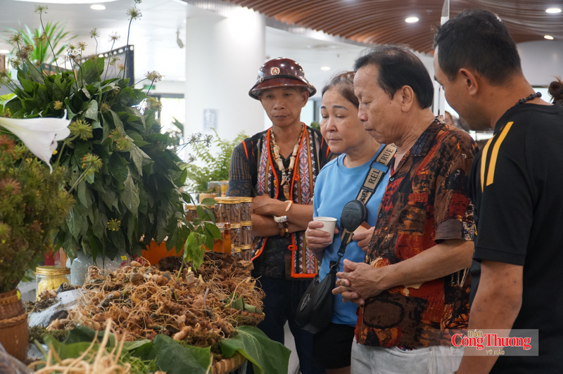Người dân, du khách tham quan, tìm hiểu sâm Ngọc Linh tại lễ hội.
