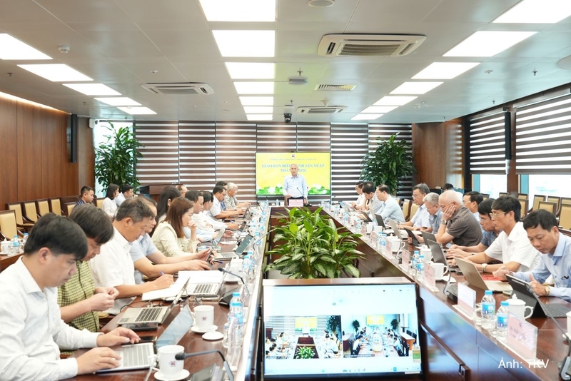 Hội nghị giao ban trực tuyến điều hành sản xuất tháng 8/2026 của Tập đoàn Công nghiệp Than - Khoáng sản Việt Nam.