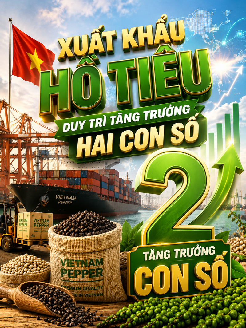 Infographic| Việt Nam xuất khẩu hồ tiêu duy trì tăng trưởng hai con số - 1