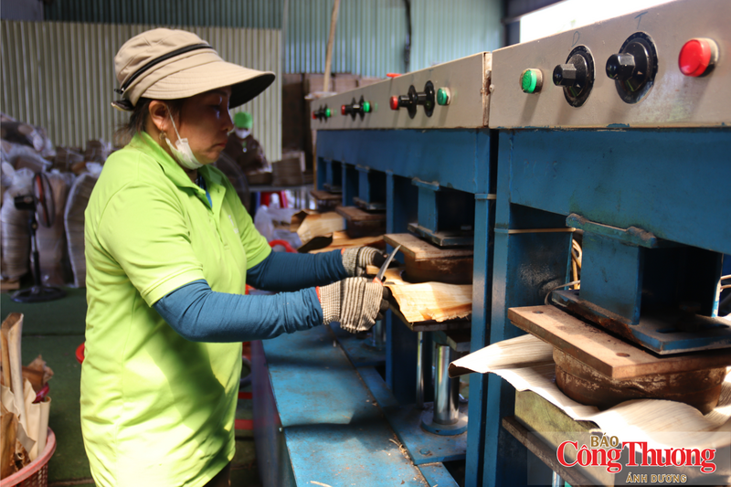 Quảng Ngãi được đánh giá là nơi sở hữu nhiều vùng nguyên liệu tiềm năng