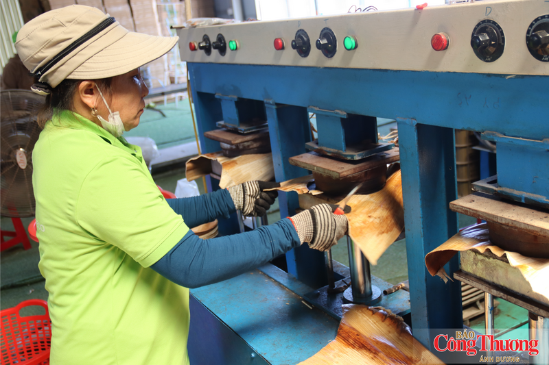 Với lợi thế vùng nguyên liệu lớn cùng định hướng phát triển rõ ràng, công nghiệp chế biến sâu được kỳ vọng sẽ trở thành "đòn bẩy" giúp nông sản Quảng Ngãi nâng cao giá trị.