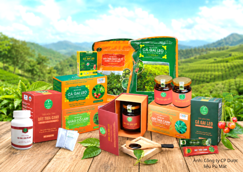 Nghệ An đã phát triển đa dạng các sản phẩm từ dược liệu