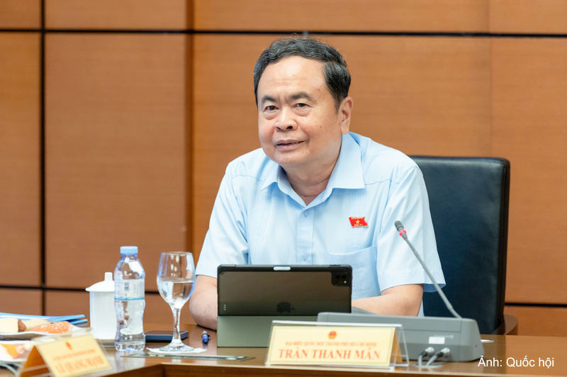 Chủ tịch Quốc hội Trần Thanh Mẫn phát biểu tại phiên họp tổ.