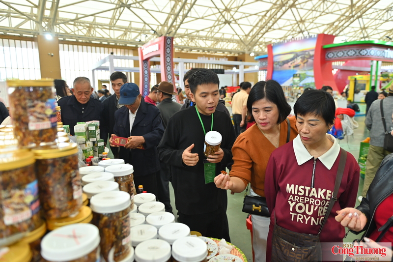 CPI tháng 7/2026 giảm nhẹ 0,12% so với tháng trước, chủ yếu do giá nhiên liệu giảm.