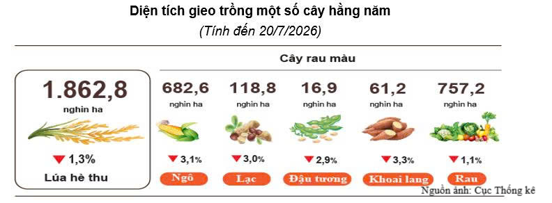 Sản xuất nông, lâm nghiệp duy trì ổn định trong 7 tháng đầu năm 2026 - 1