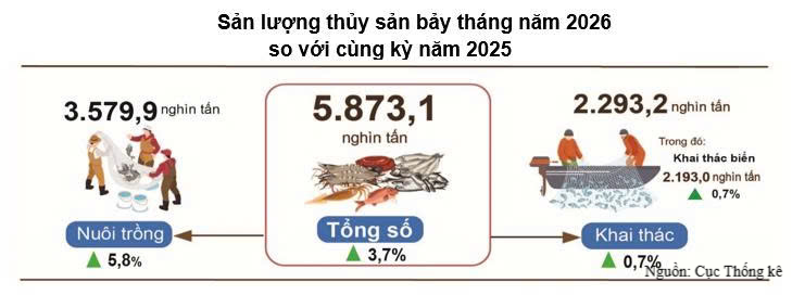 Sản lượng thủy sản 7 tháng năm 2026. Nguồn: Cục Thống kê