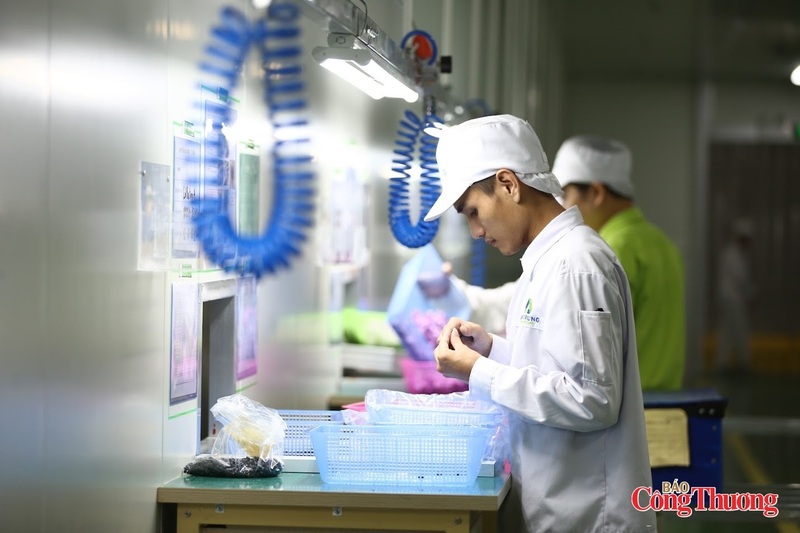 7 tháng đầu năm 2026, cả nước có gần 187,2 nghìn doanh nghiệp thành lập mới và quay trở lại hoạt động. Ảnh: Nam Nguyễn