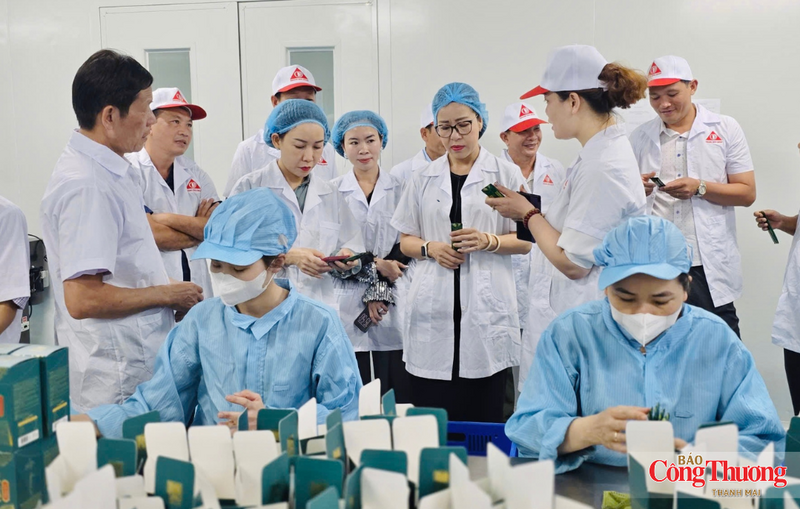 Công ty TNHH Phát triển Khoa học Quốc tế Trường Sinh đầu tư phát triển chuỗi sản xuất dược liệu, thực phẩm bảo vệ sức khỏe theo hướng công nghệ cao, từng bước mở rộng thị trường xuất khẩu.