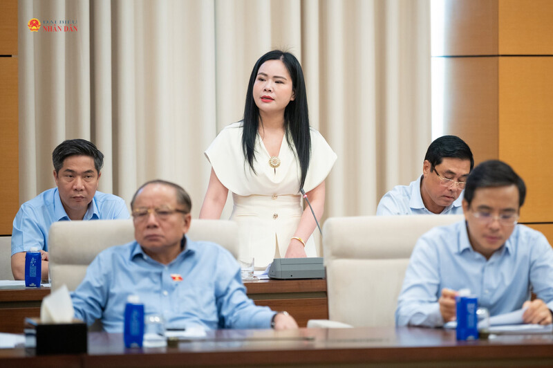 ĐBQH Nguyễn Thị Thanh Bình (Hưng Yên) phát biểu, đóng góp ý kiến về Luật Dầu khí (sửa đổi) tại Phiên họp toàn thể lần thứ 3 của Ủy ban Kinh tế và Tài chính.