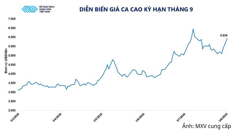 Diễn biến giá ca cao kỳ hạn tháng 9.
