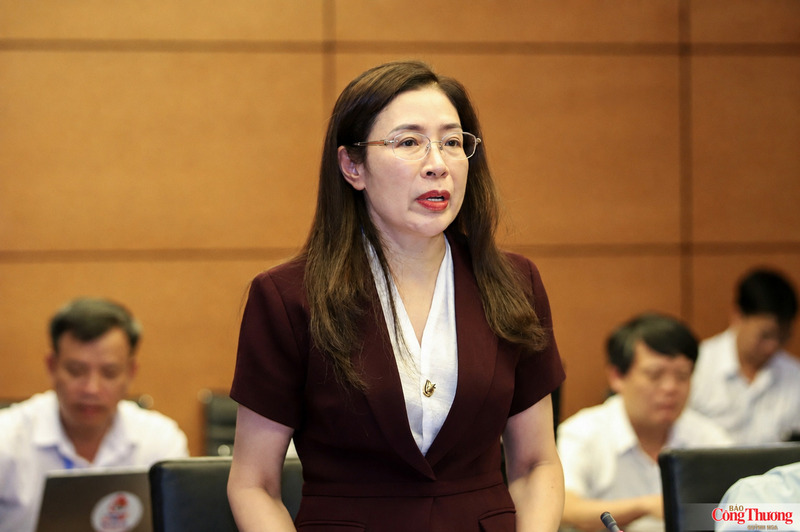 Đại biểu Quốc hội Bùi Thị Kim Tuyến - đoàn Phú Thọ.