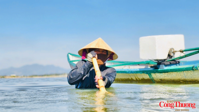 Làm nghề này phải dầm mình trong nước từ 4-5 tiếng đồng hồ mỗi ngày
