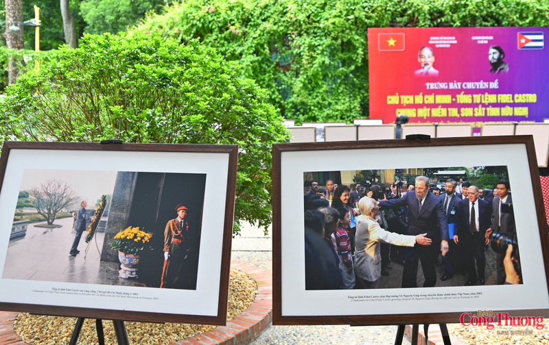 Chuỗi hoạt động chuyên đề "Chủ tịch Hồ Chí Minh - Tổng Tư lệnh Fidel Castro: Nghĩa tình son sắt đặc biệt" trưng bày tư liệu ảnh: "Chủ tịch Hồ Chí Minh - Tổng tư lệnh Fidel Castro chung một niềm tin, son sắt tình hữu nghị" gồm 4 phần: (1) Chung một lý tưởng cách mạng; (2) Chủ tịch Hồ Chí Minh - Tổng Tư lệnh Fidel Castro: Son sắt tình hữu nghị; (3) Phát huy di sản Hồ Chí Minh - Fidel Castro; (4) Khu Di tích Phủ Chủ tịch - nơi hội tụ, lan tỏa tình hữu nghị Việt Nam - Cuba.