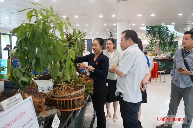 Các giao dịch về sâm Ngọc Linh diễn ra sôi động trong suốt 3 ngày diễn ra Lễ hội Sâm Ngọc Linh và Dược liệu quốc tế Đà Nẵng 2026