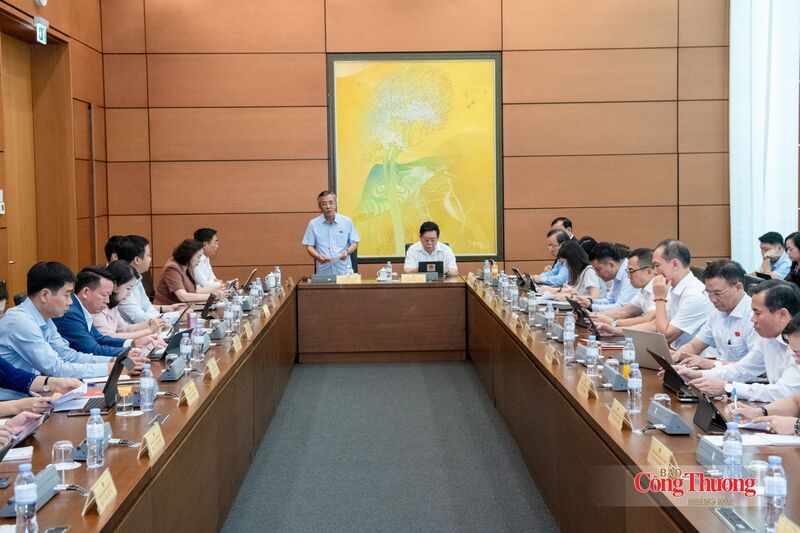 Thảo luận tại Tổ 3 (gồm Đoàn đại biểu Quốc hội tỉnh Tây Ninh và Đoàn đại biểu Quốc hội tỉnh Thanh Hóa), các đại biểu bày tỏ sự tán thành cao đối với sự cần thiết ban hành cả 3 dự án luật.