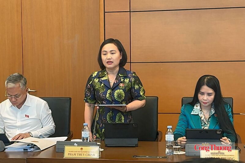 Đại biểu Phạm Thúy Chinh, ĐBQH Đoàn thành phố Hải Phòng đề xuất, làm rõ nội dung phân quyền, giao quyền cho Petrovietnam.