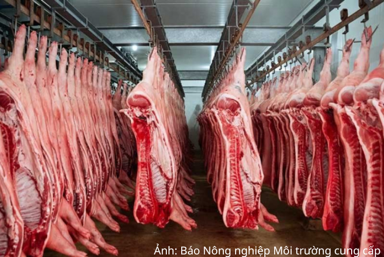 6 tháng đầu năm, nhập khẩu thịt và các sản phẩm từ thịt của Việt Nam đạt 494,3 nghìn tấn, trị giá 1,46 tỷ USD