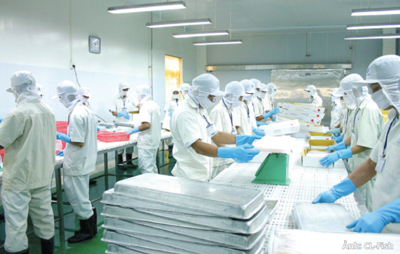 Bên trong nhà máy chế biến của Công ty Cổ phần Xuất nhập khẩu Thủy sản Cửu Long An Giang (CL-Fish).