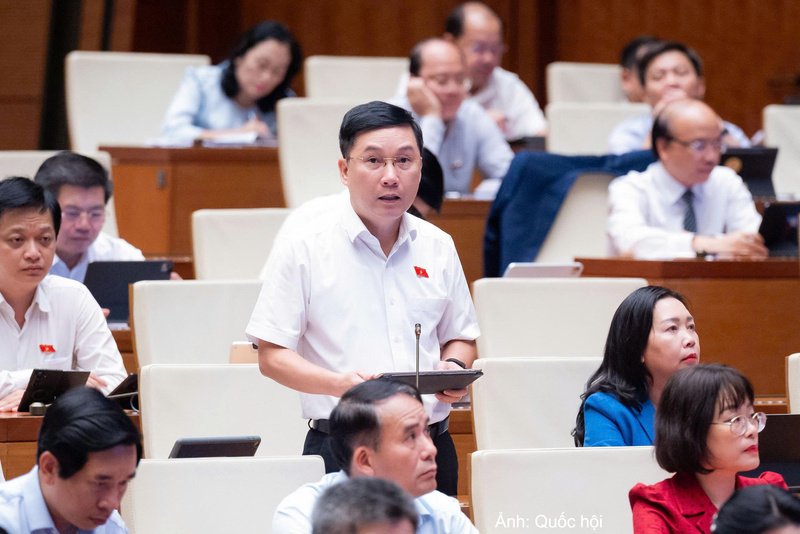 Đại biểu Lê Hoàng Anh - đoàn Gia Lai