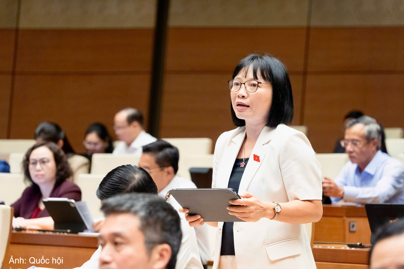 Đại biểu Quốc hội Nguyễn Thị Việt Nga - đoàn Hải Phòng